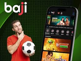 Baji Whitelabel Exchange Web Site Company In Bangladesh & India