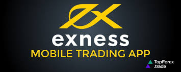 Understanding the Exness Program For Computers A Comprehensive Guide Understanding the Exness Program For Computers A Comprehensive Guide